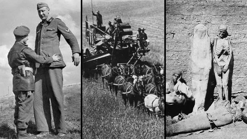 Источник: Wikimedia Commons