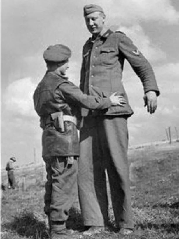 Источник: Wikimedia Commons