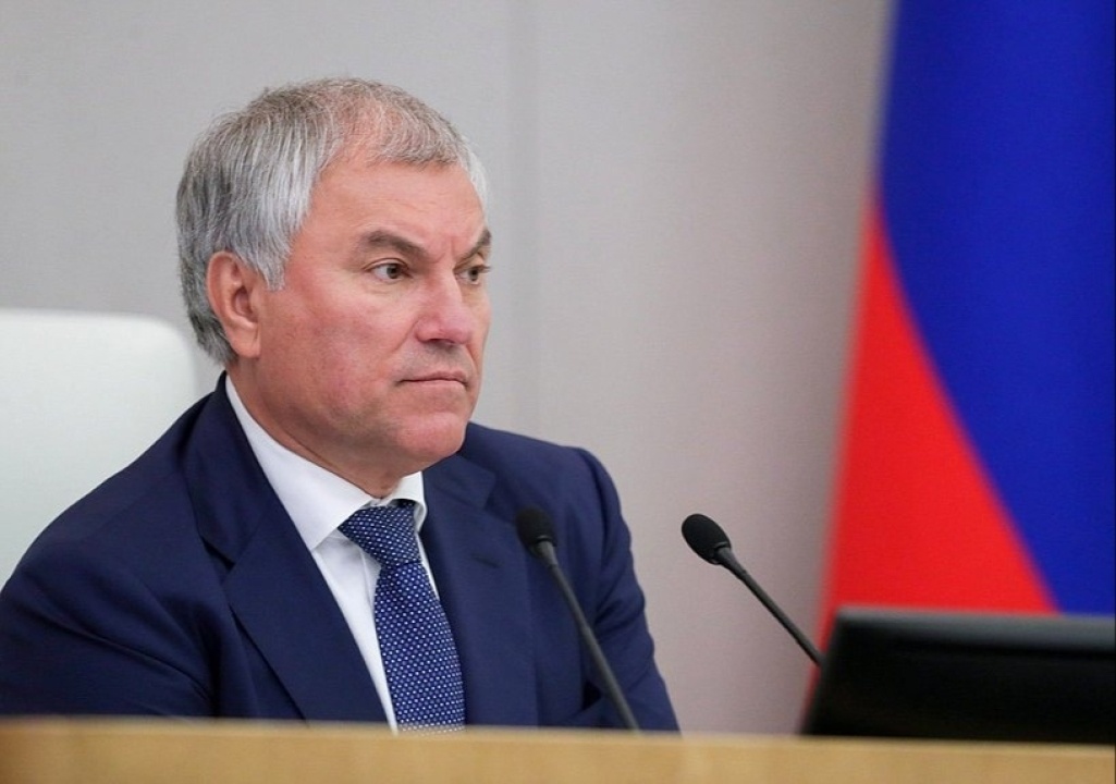    Володин призвал исключить врачей и учителей из списка профессий для выдачи ВНЖ