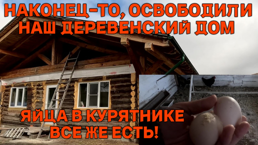 Как работает наша теплица в Сибири этой осенью. Ремонт стоит, стройка идёт и куры начали нестись!