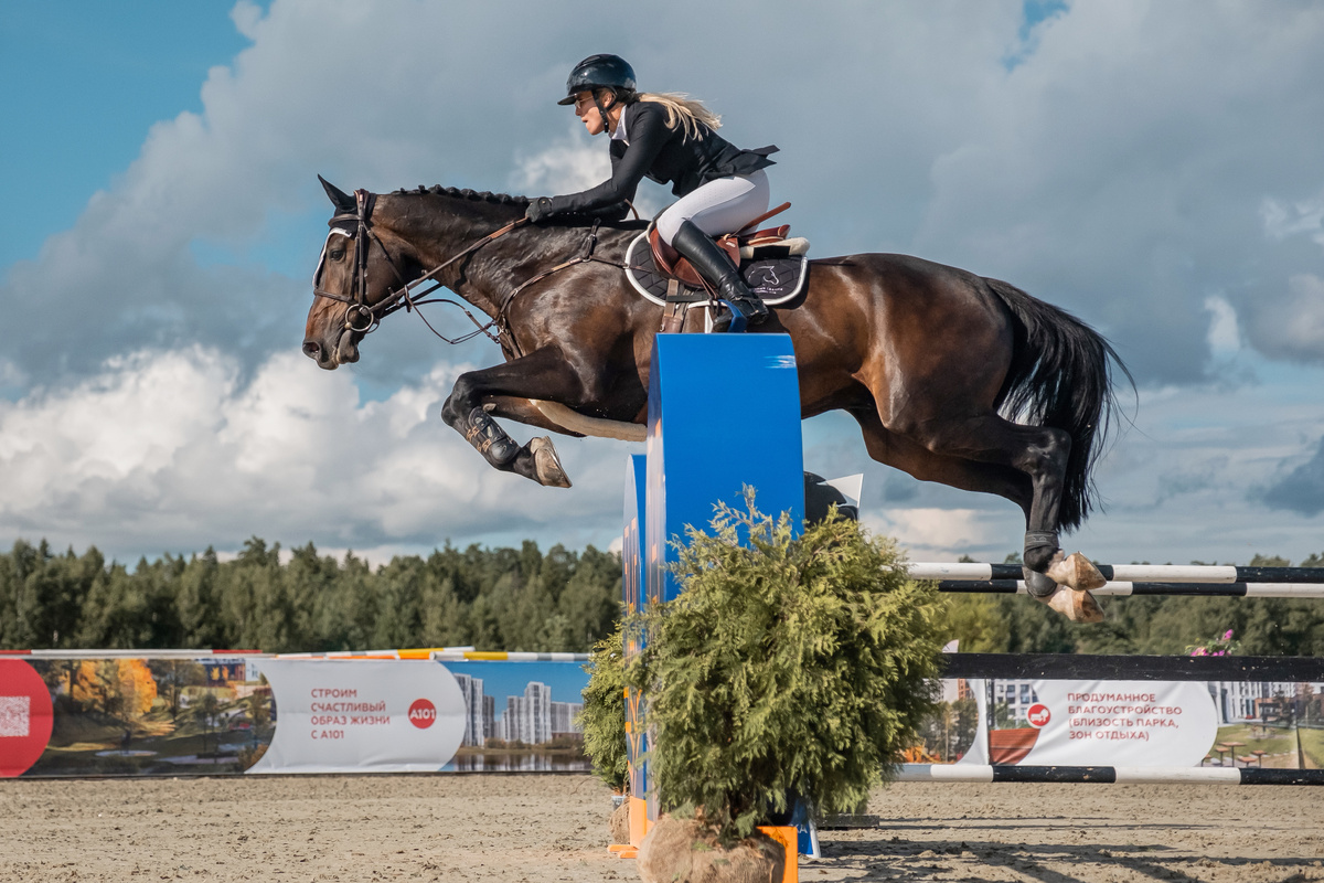 Чемпионат России по конкуру в Horseka Sport, 2024 г.