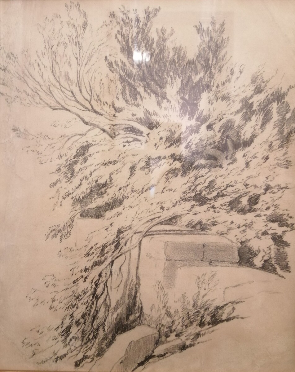 Рисунки бликуют под стеклом.