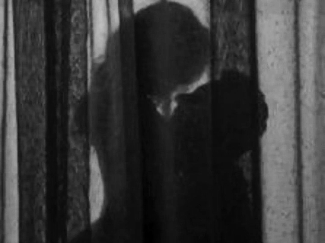 Фотография из свободного доступа