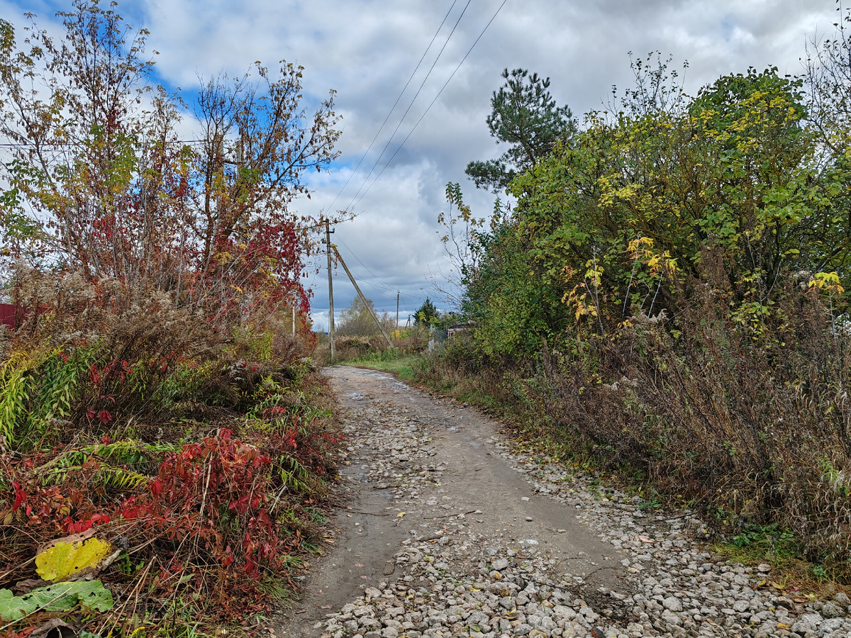 Фото автора канала.
