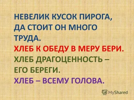 Фото из дзен