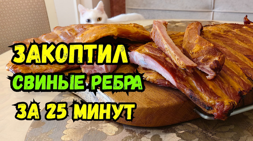 Копчёные СВИНЫЕ рёбрышки! Холодное копчение с электростатикой! Славянские Коптильни!