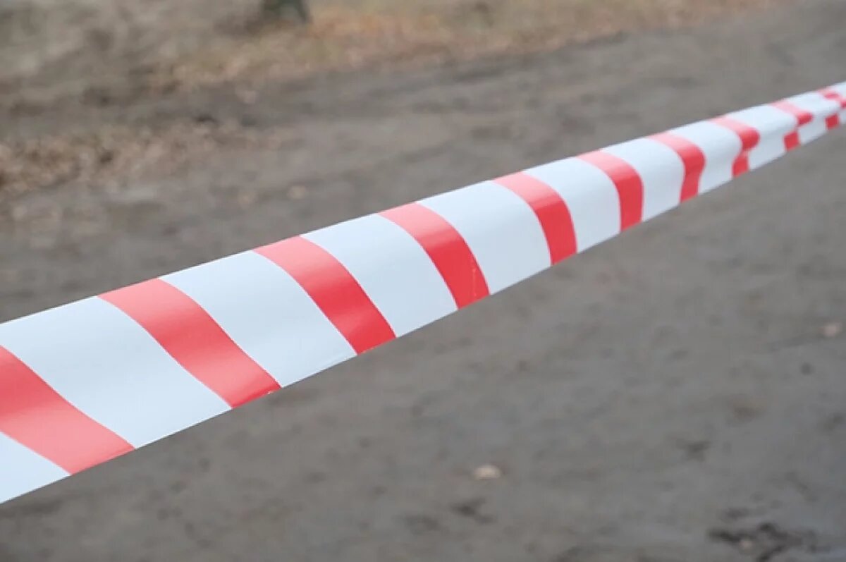    В Дзержинском районе Ярославля нашли историческую дорогу