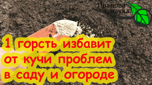 СЫПЬТЕ ХОТЬ ПО СНЕГУ! Это удобрение осенью важнее всех! Рейтинг кальциевых удобрений: какие, сколько, куда, когда.