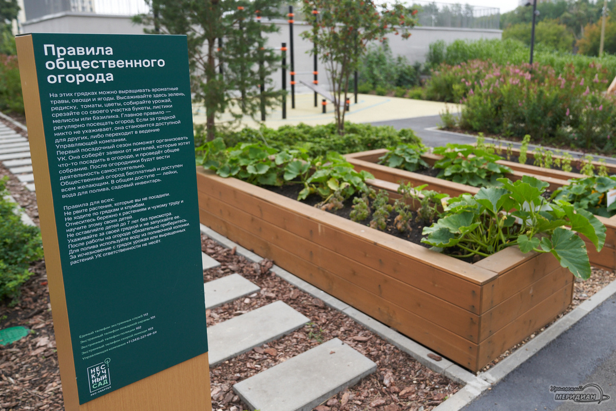    Фото: Лидия Аникина © ИА «Уральский меридиан» Ника Румянцева