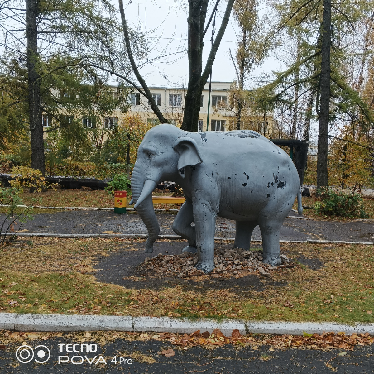 Слоник на территории больницы