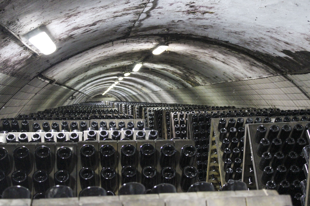 Производство вина оптимизировано.  Фото: Фото: ФедералПресс / Ксения Кобалия