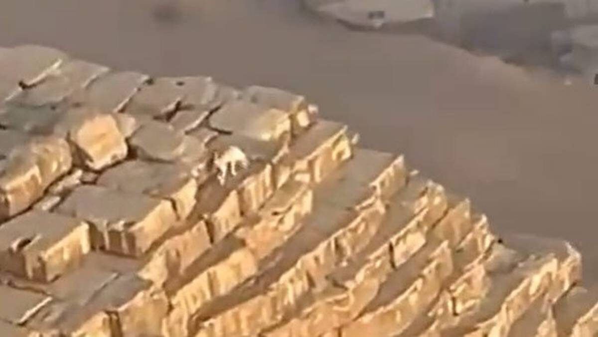    Фото: Telegram-канал Подъем / скриншот из видео