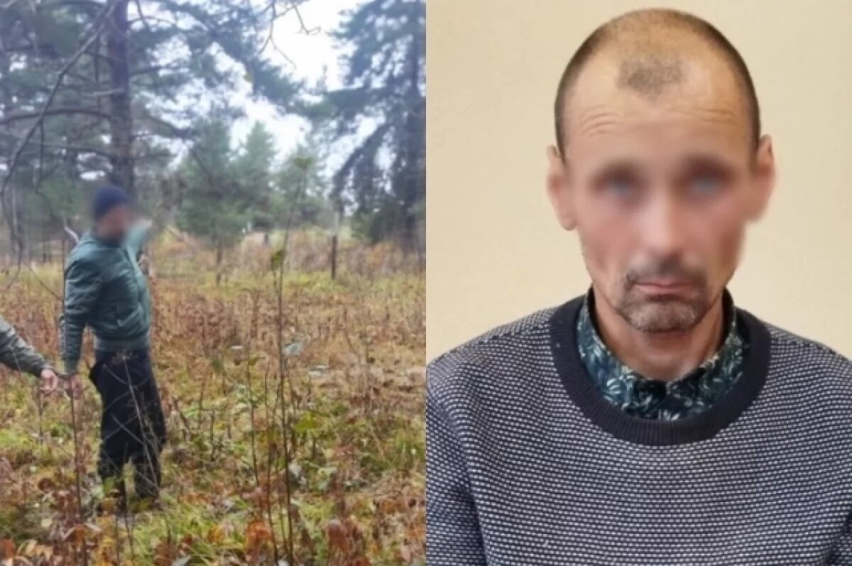    Вели голоса?