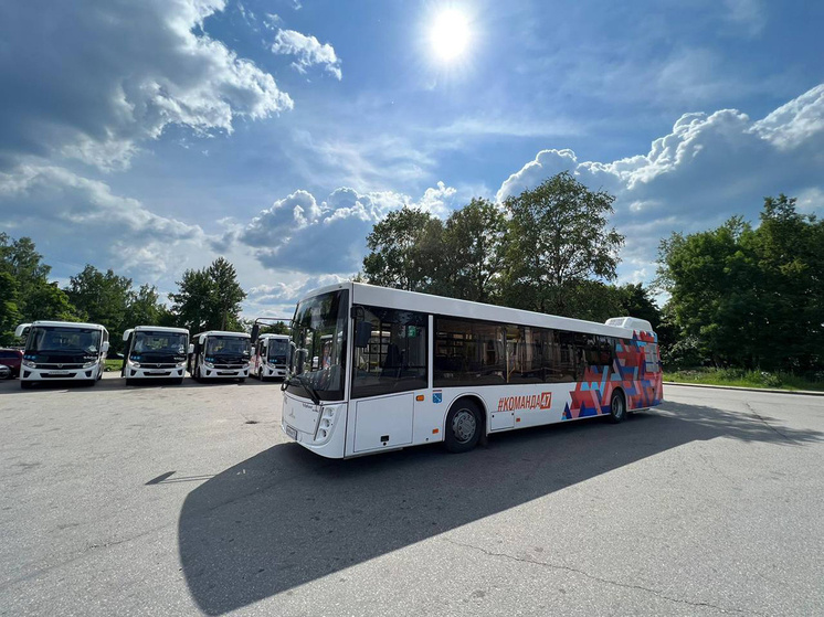     Фото: t.me/KomTransLO