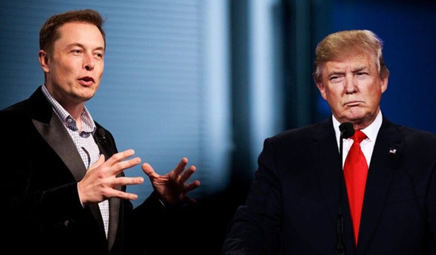 Фото: свободный доступ