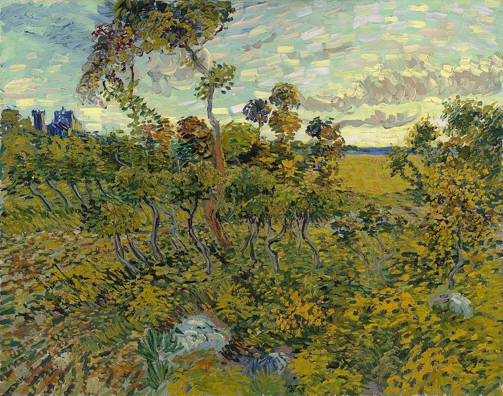 «Закат в Монмажуре» (фр. «Coucher de soleil à Montmajour», нидерл. «Zonsondergang bij Montmajour») — картина голландского художника Винсента ван Гога (1853—1890), написанная в Арле в 1888 году. Она хранится в музее Винсента ван Гога в Амстердаме. Размер полотна составляет 73,3×93,3 см.