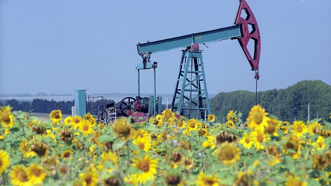    Фото: Zamir Usmanov/Russian Look/Globallookpress