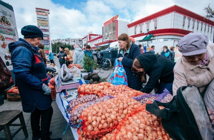    Почему в Чувашии очень любят фермерские ярмарки