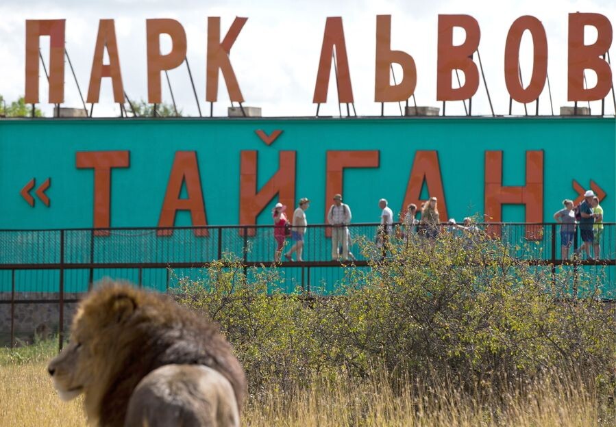     / Источник: © Сергей Мальгавко/ТАСС