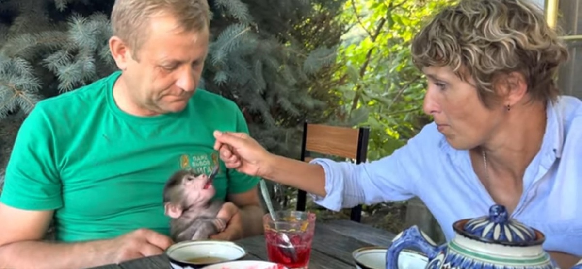    / : vk.com/safari_park_taigan