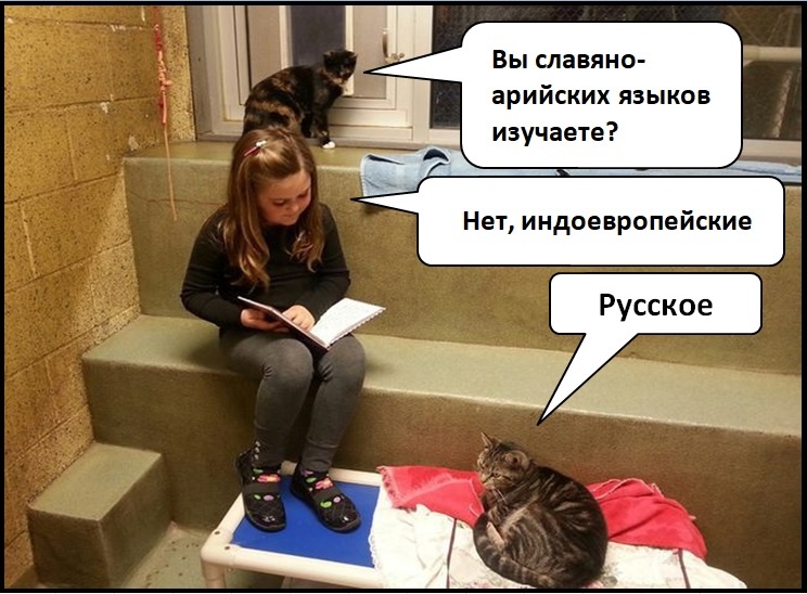 Пример моего убогого творчества