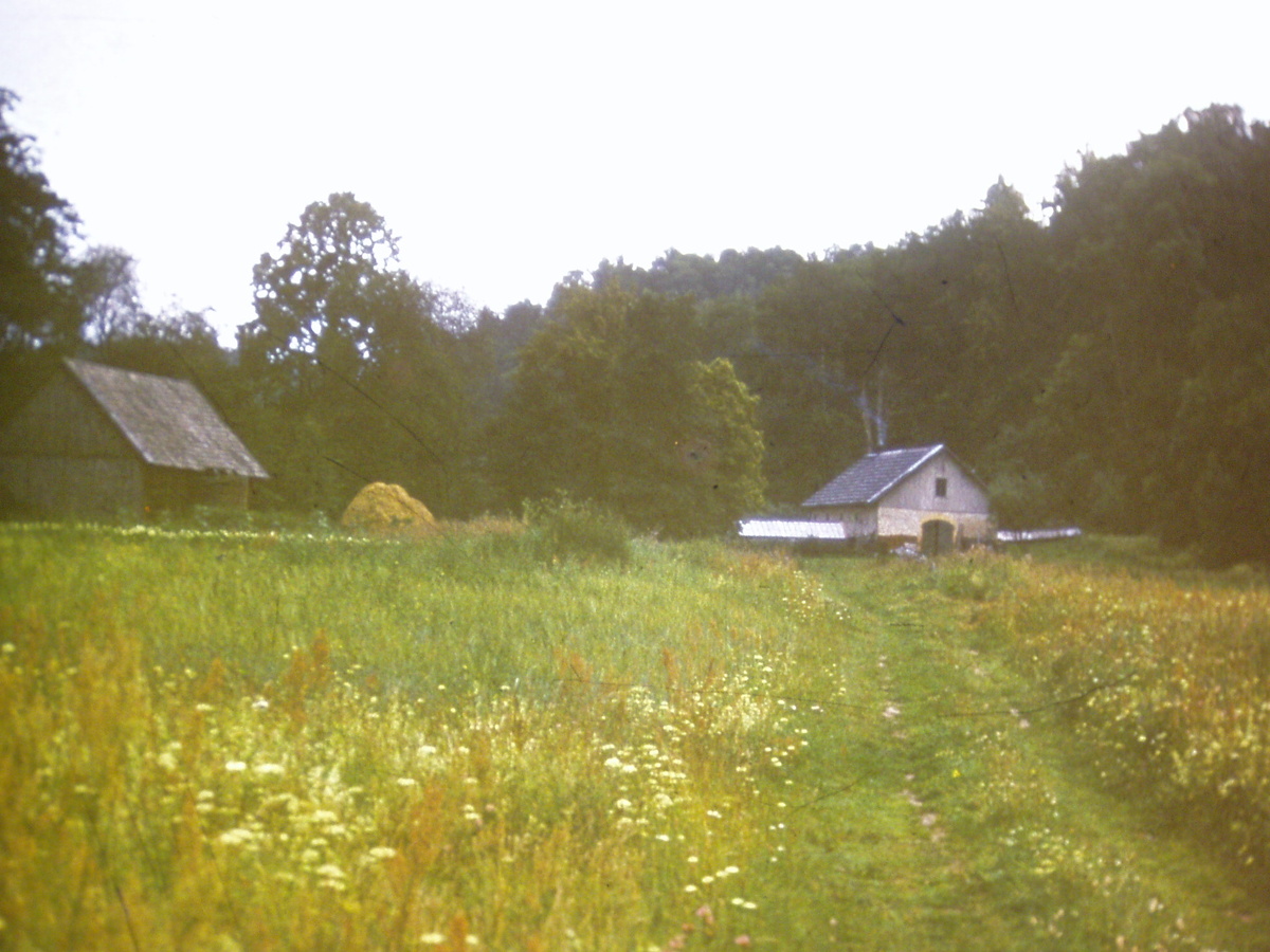 Личное фото. Латв.ССР, Сигулда. Конец 70- начало 80-х прошлого столетия.