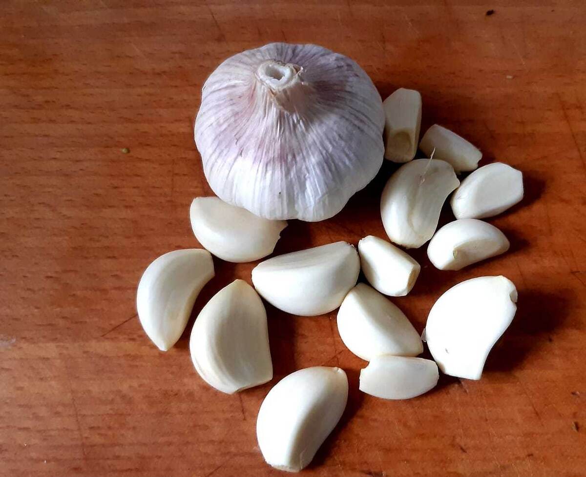    Чеснок