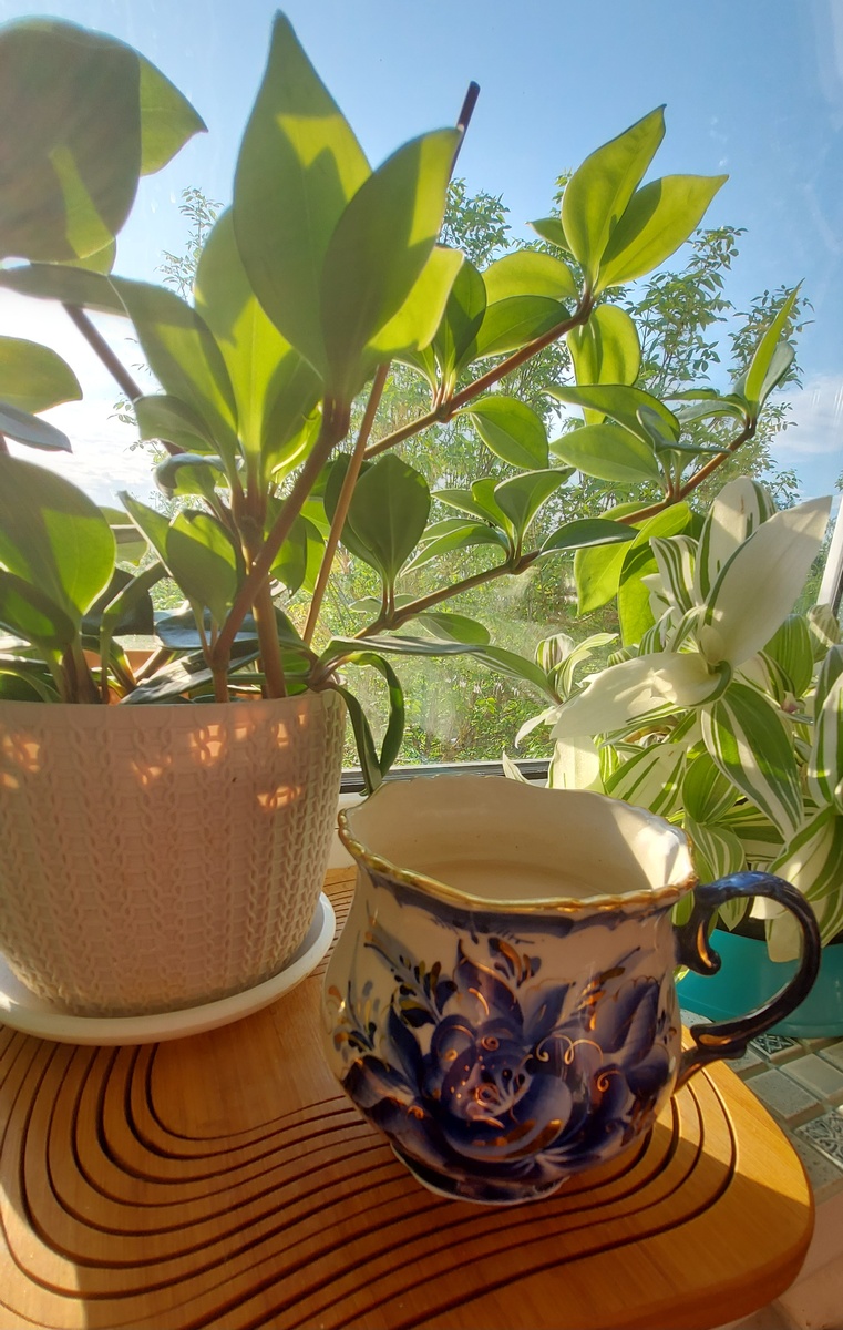 Стих написан в мае 2024г.