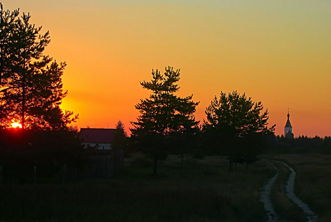 Яндекс картинки