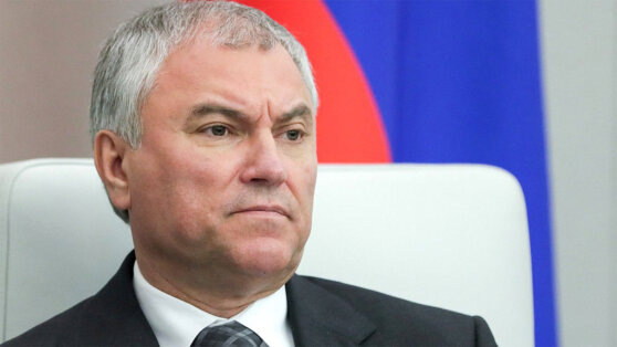    Председатель Госдумы призвал исключить врачей и учителей из списка профессий для выдачи ВНЖ Андрей Бурков