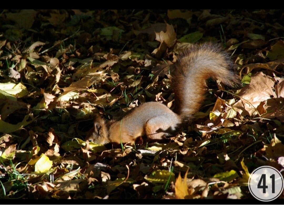 фотоконкурс 