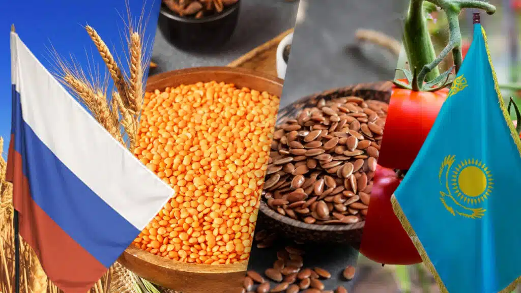 Сперва зерно, овощи и фрукты.  Из открытых источников