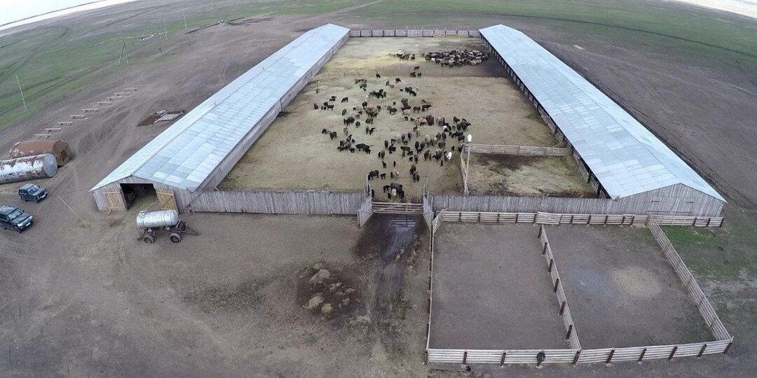 Обустройство одного овцеводческого комплекса - «точки». Кошара. Ошибки начинающих овцеводов