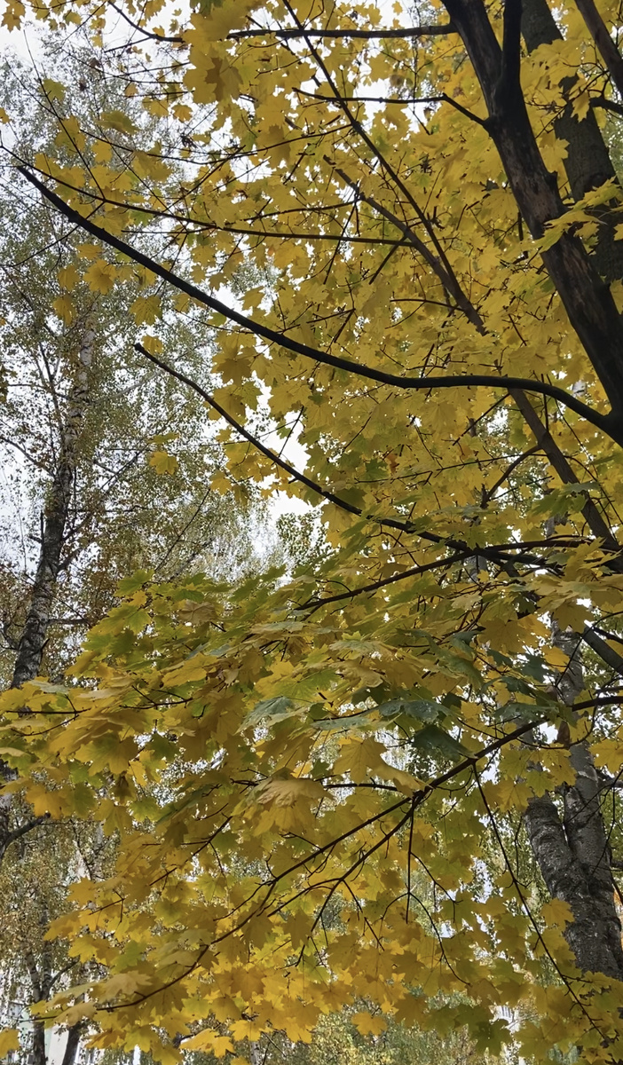 Фото из личного архива автора. 