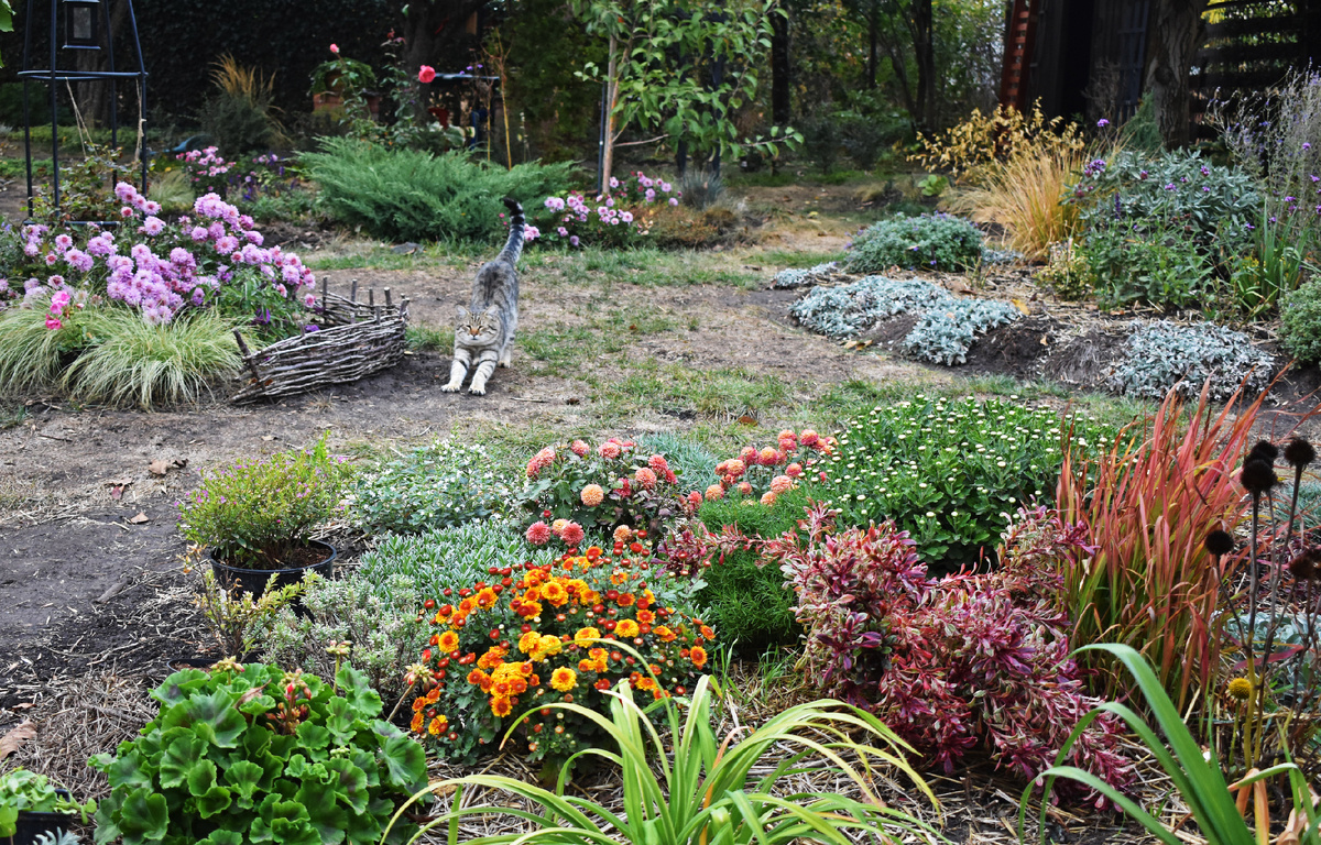 Просто фото октябрьского сада