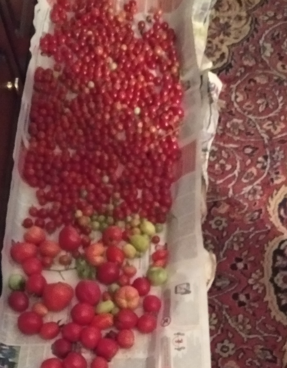 Личное фото.