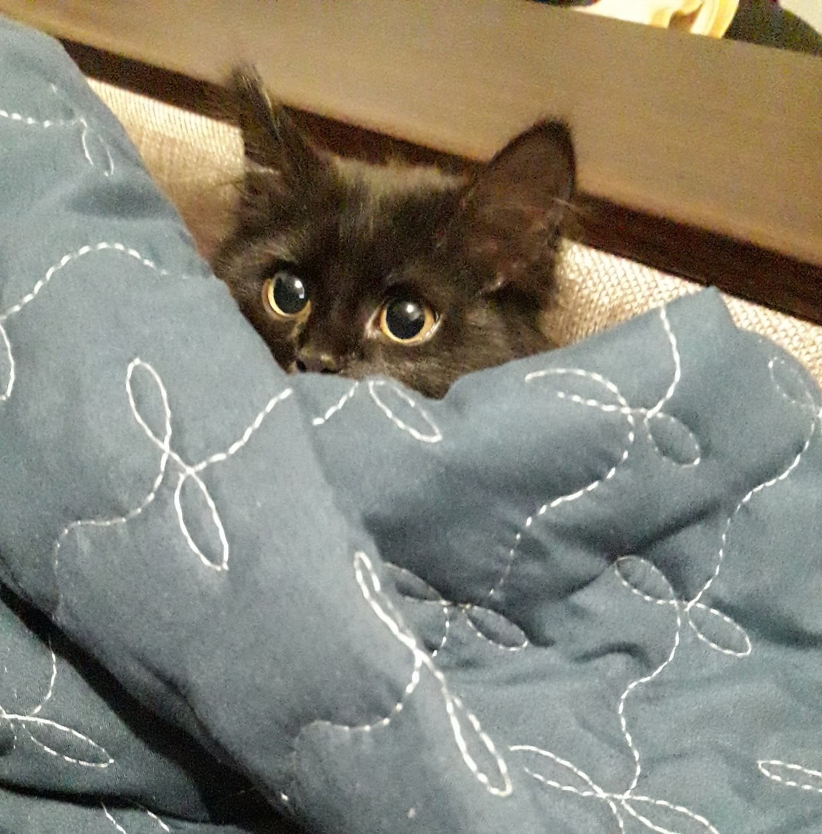 Мы только приехали домой