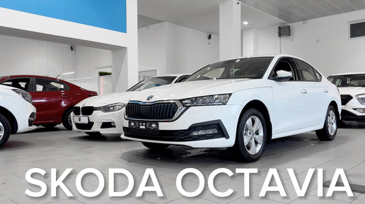 Обзор Skoda Octavia