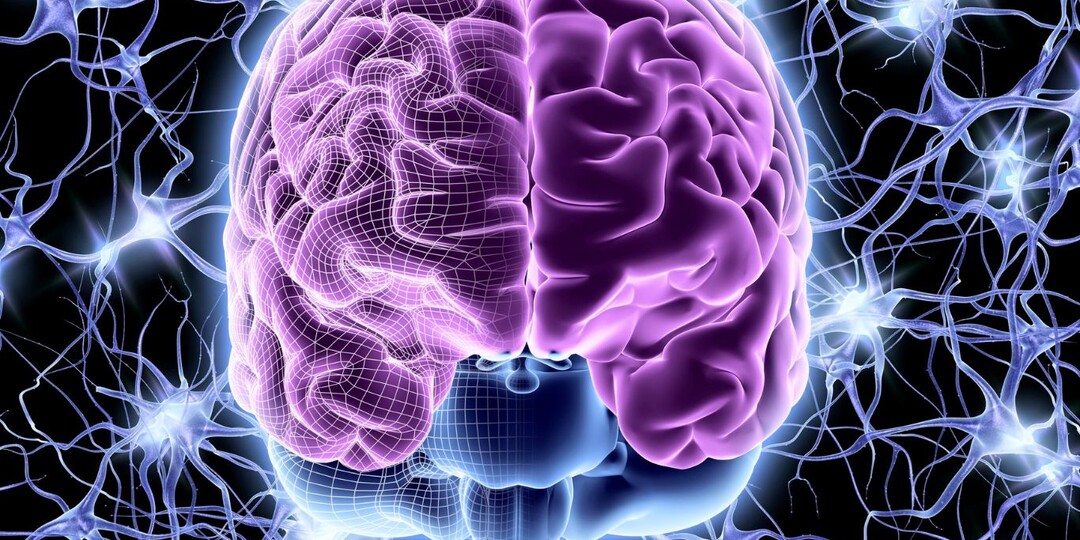 Глубокий сон и здоровье мозга: как ночной отдых помогает предотвратить болезни