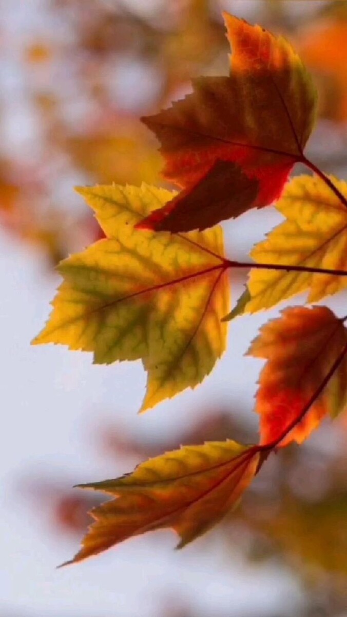 Из интернета