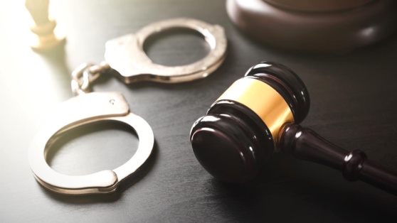    Суд заключил под стражу бывшего брянского замгубернатора Егор Гордеев