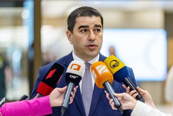    Шалва Папуашвили