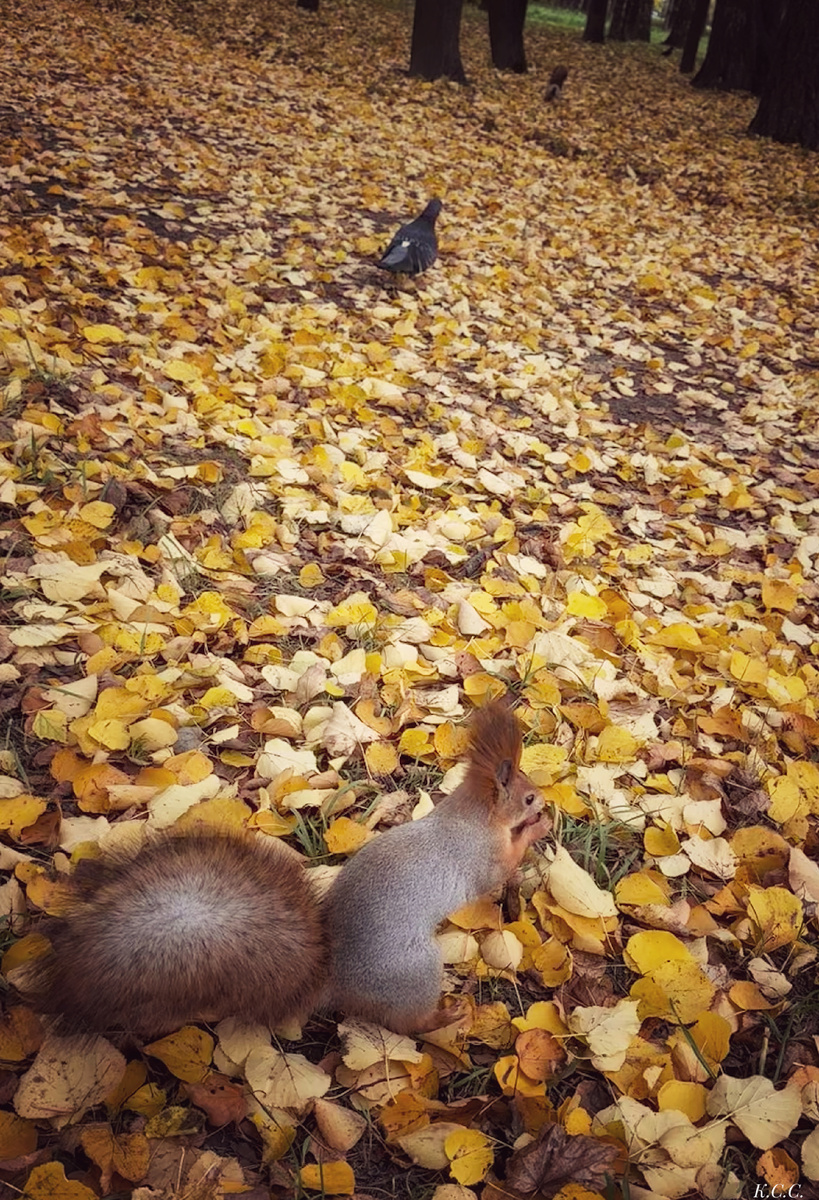 -2