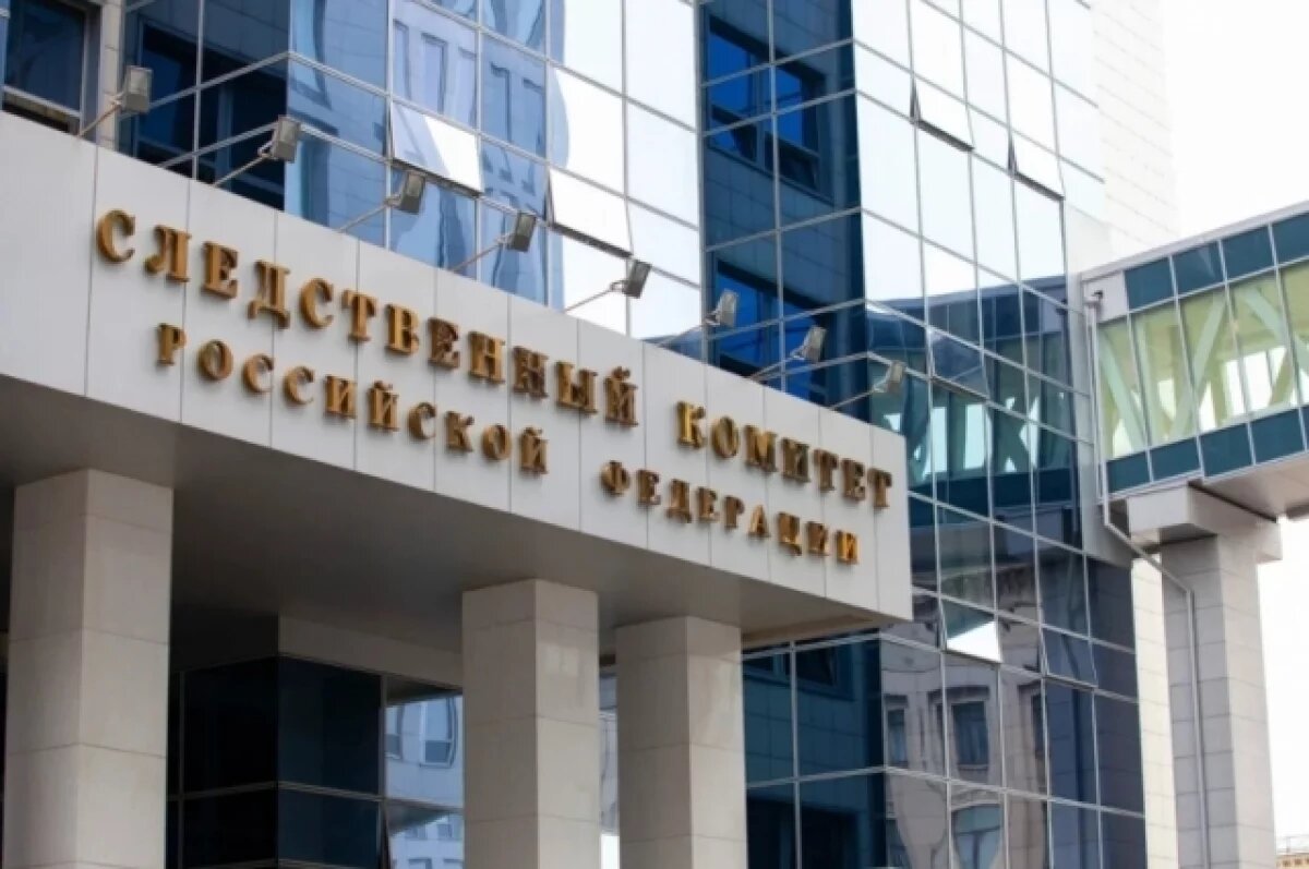    В Карелии завершили расследование уголовного дела об убийстве семи человек