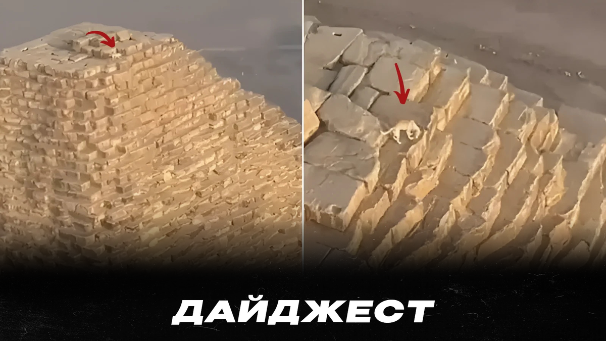 Собака на пирамиде Хеопса в Гизеисточник: (источник Alex Lang)