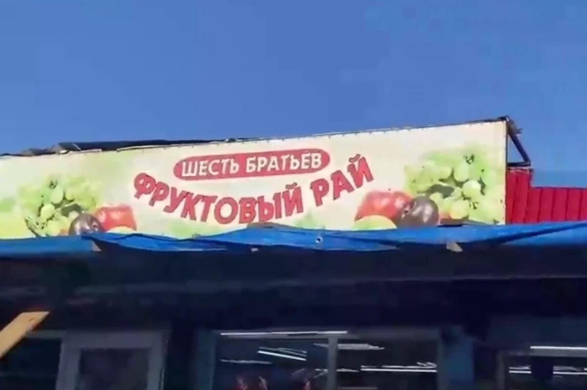    В столице Камчатки продавцы продолжают разводить крыс на базе на Чубарова
