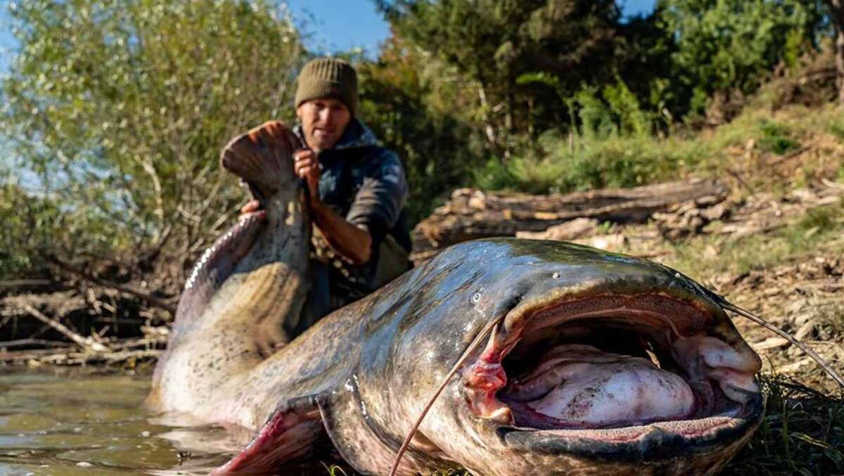 Источник: praguemorning.cz