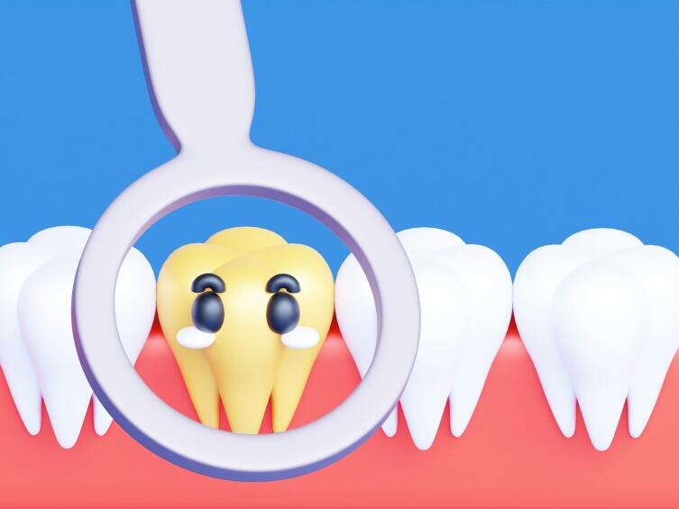    Фото: A.Rahmat MN on Unsplash