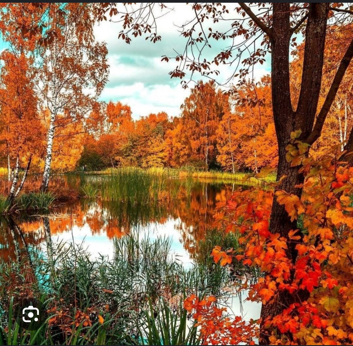 Фотография: Осень прекрасная пора 