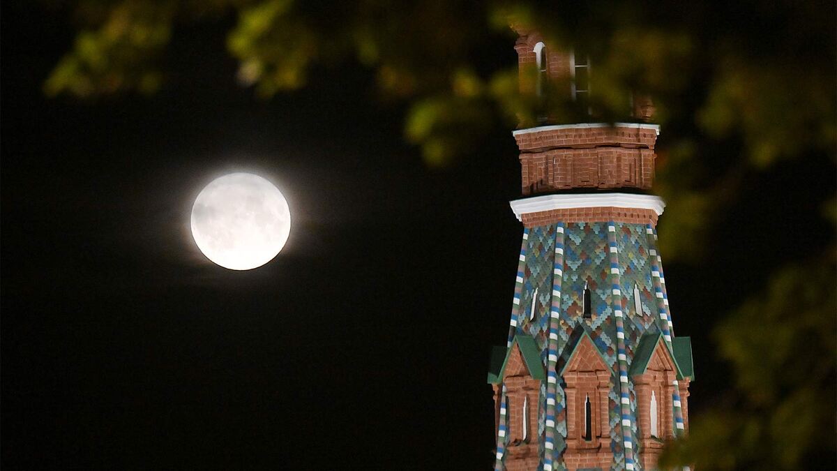 Фото: РИА Новости/Илья Питалев